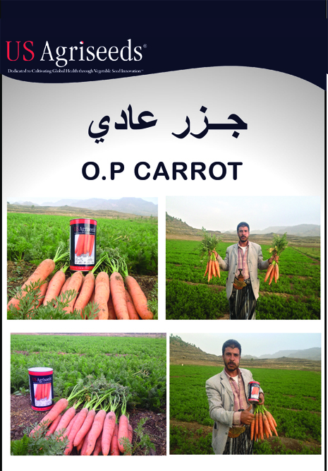 carrot_page_1