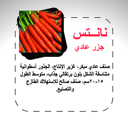 carrot_page_2