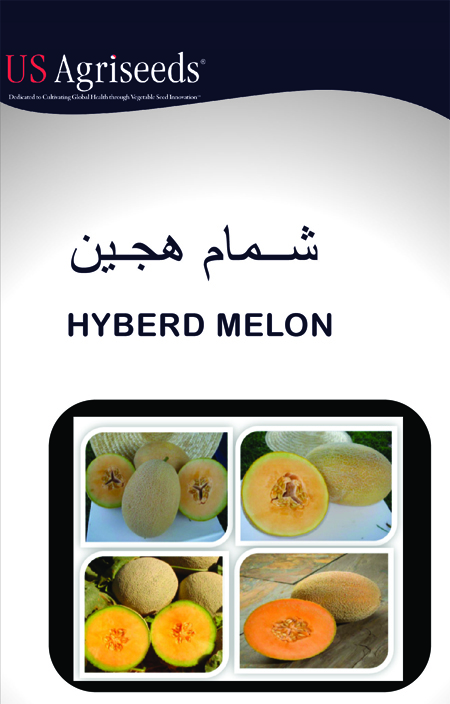 melon page 1
