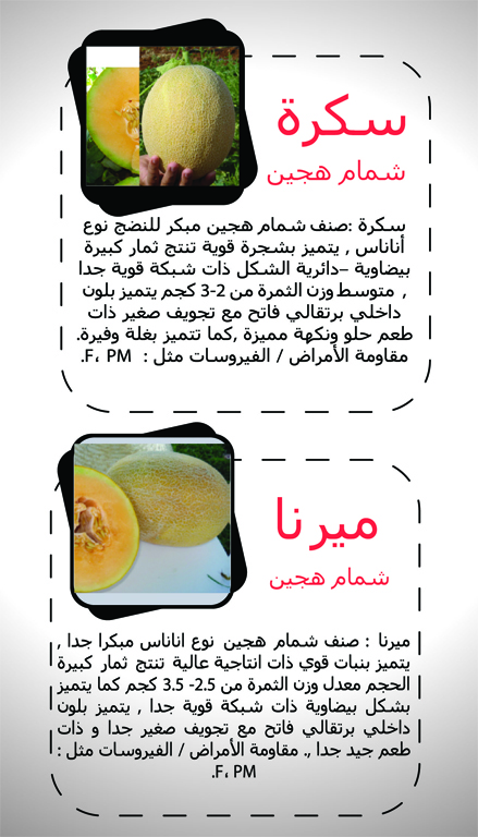 melon page 2
